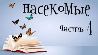 Насекомые для детей. Учим насекомых. Часть 4