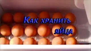 ✿✿✿ How to store eggs