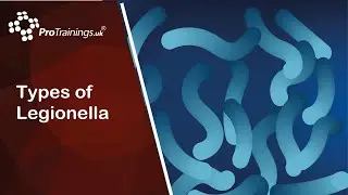 Types of Legionella