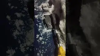 чудеса с Вазом