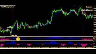 Часть6-Стратегия Fisher