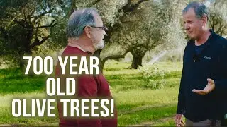 Ancient meets Modern in Israel at this Lush Organic Farm!