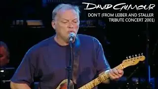 David Gilmour - Don't (From Leiber And Staller Tribute Concert 2001)