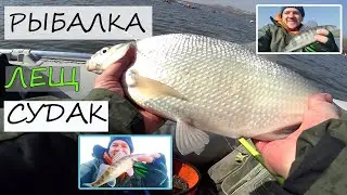 Аксайские плиты/Судак НА КАЖДОМ забросе/Рыбалка с лодки