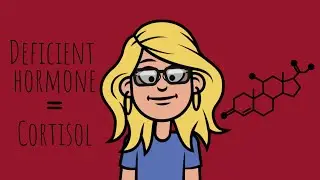What is Adrenal Insufficiency