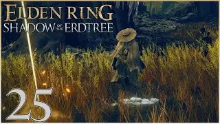 Silent Man | Elden Ring (Shadow of the Erdtree) #25