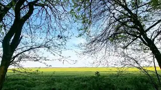 Proleće u ravnici 4K