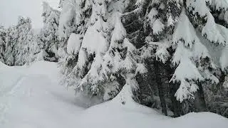 Iarna in Munţii Latoriţei-Decembrie 2021