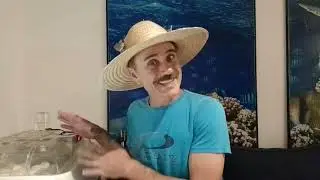 Como saber se tem pintinho dentro do ovo...