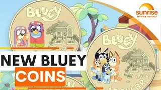 New Bluey Coins FOR SALE | Sunrise