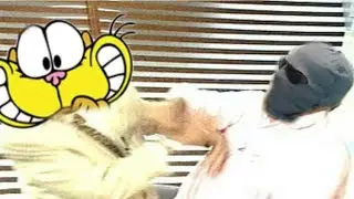 DEADKENNEDY VS GATURRO