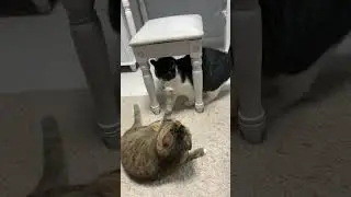 누가 이겼을까요? (220203) [동무티브이]