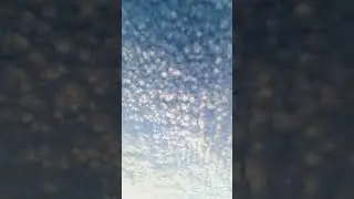what a beautiful dream