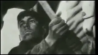 Т. Недельская 