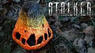 Как сделать Артефакт Ночная Звезда из S.T.A.L.K.E.R.
