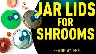 🍄 Shroom Academy jar lids for cultivation mushrooms
