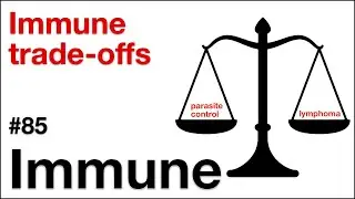 Immune 85: Immune trade-offs