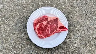 My Carnivore Journey: Part - 5
