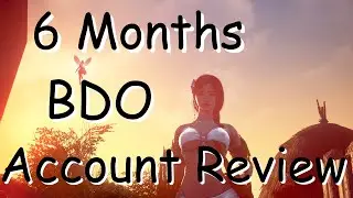 6 Month BDO Account Review
