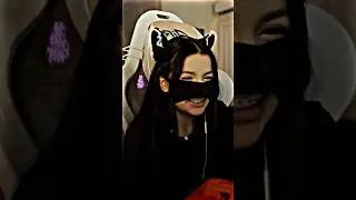 Донат Аминке Тендерлибае от любимчика😸 #тендерлибае #tenderlybae