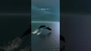 Dolphsun es: ✨ #magia #lugares #tiempo #vida #shorts #music #shortsmusic #viral #canciones #