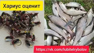 Изготовление мушки для ловли хариуса 