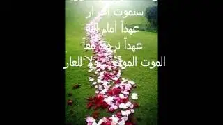 قصيدة  طوقٌ الياسمين انتِ يا شام    احمد مصطفى