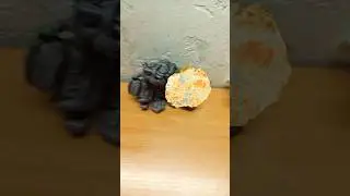 скибиди мутация 01