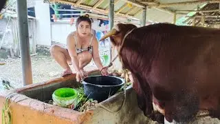 KEGIATAN DISORE HARI MBK INCES NGASIH COMBORAN SIMENTAL GANTENG
