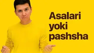 Pasha va asalari