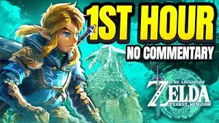 First Hour of Gameplay in The Legend of Zelda: Tears of the Kingdom | Great Sky Island