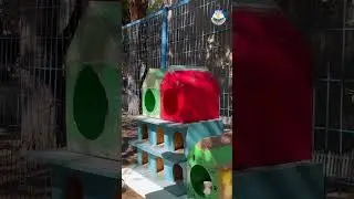 Yaşamın Merkezi Avcılar 🐈