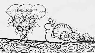 Digital Collaboration