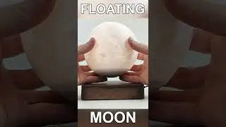 Floating Moon