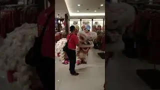 barongsai makan ampau