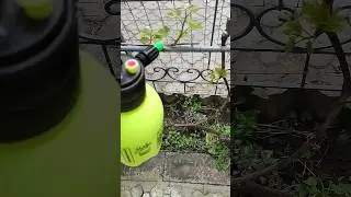 И не забываем про обработку! 