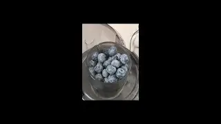 BLUEBERRY MEAD!!!