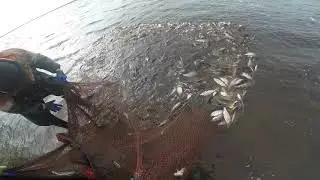 Ловля рыбы бреднем (неводом)