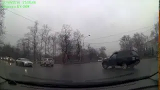 дятел на дороге