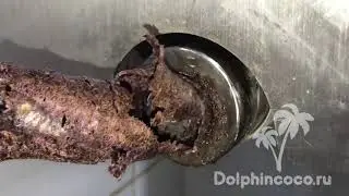 DolphinCoco - Как производится нерафинированное  масло какао холодного отжима