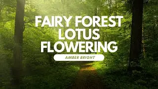 Music for sleep and meditation 