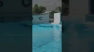 1st wave at @palmspringssurfclub had me all giddy