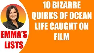 🛑10 BIZARRE QUIRKS OF OCEAN LIFE CAUGHT ON FILM  👉 Perfect List