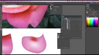 Gradient Mesh  Color Change Points
