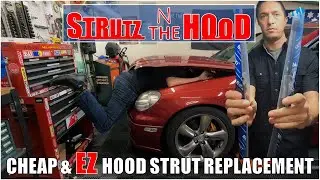 Replace Your Tired Hood Struts on the Cheap with BOXI Struts (a no-talking episode!)