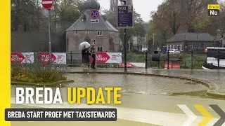 Breda start proef met taxistewards | Breda Update