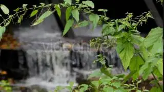 the Leaves in the Foreground in Focus, and the Mountain River Flowing in the Background Out of