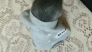 Рукавичка)))
