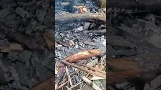 Đi làm nương cũng vui đấy