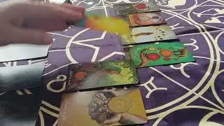 🎥🔮Влад Бахов. Будет ли расследование
